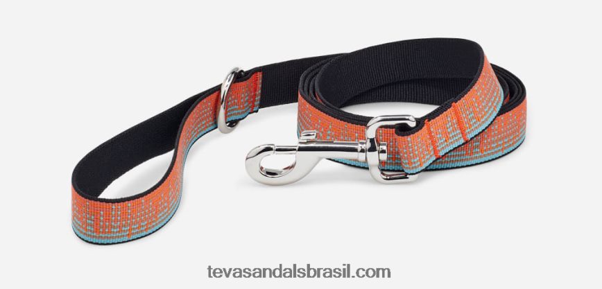 trela_para_caes_25mm_x88ntz210_atmosfera_cenoura_miragem_azul_teva.jpg trela para cães 25mm X88NTZ210 atmosfera cenoura/miragem azul Teva - Image 1