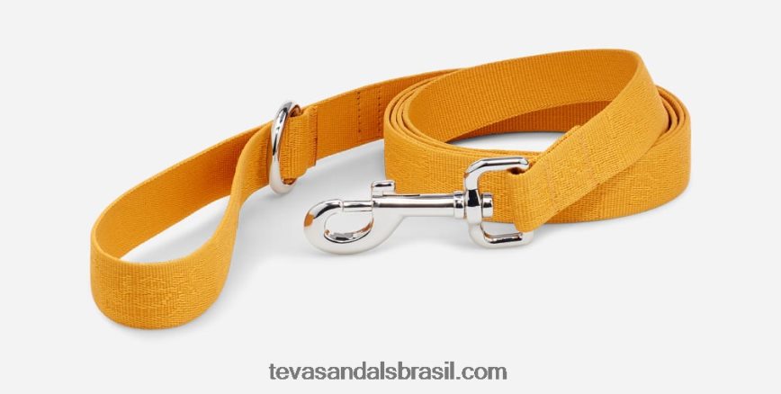 trela_para_caes_25mm_x88ntz212_teva_girassol_textural_teva.jpg trela para cães 25mm X88NTZ212 teva girassol textural Teva - Image 1