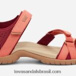 verra feminina X88NTZ67 lagostim multi Teva